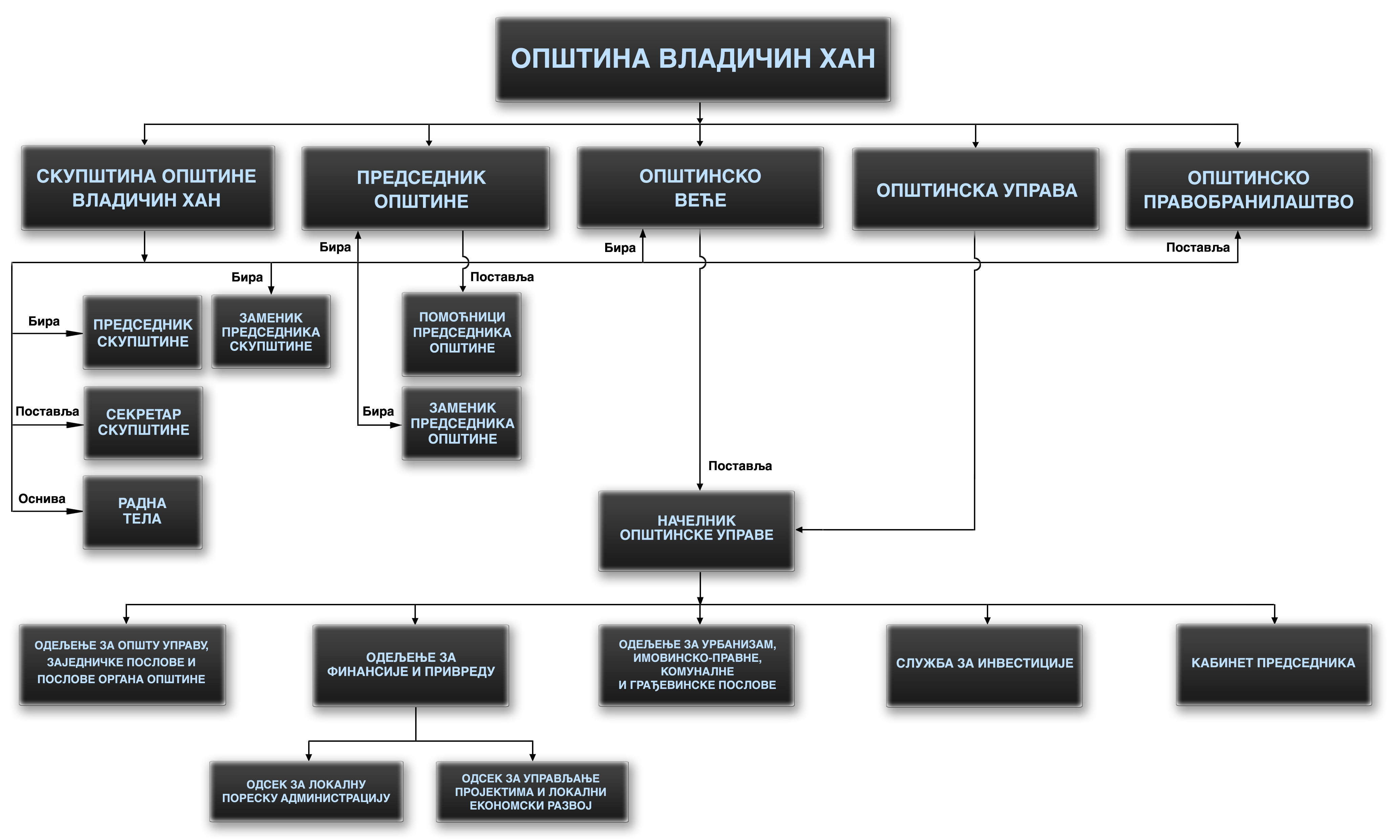 Grafiki prikaz organizacione strukture Optine Vladiin Han